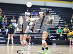 Photo from the gallery "Pine Forest @ Cape Fear"
