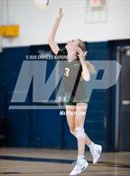 Photo from the gallery "Pine Forest @ Cape Fear"