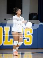 Photo from the gallery "Pine Forest @ Cape Fear"