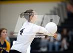 Photo from the gallery "Pine Forest @ Cape Fear"
