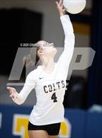 Photo from the gallery "Pine Forest @ Cape Fear"