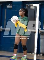 Photo from the gallery "Pine Forest @ Cape Fear"