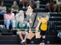 Photo from the gallery "Pine Forest @ Cape Fear"