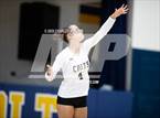 Photo from the gallery "Pine Forest @ Cape Fear"