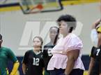 Photo from the gallery "Pine Forest @ Cape Fear"