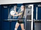 Photo from the gallery "Pine Forest @ Cape Fear"