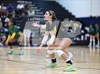 Photo from the gallery "Pine Forest @ Cape Fear"