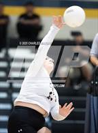 Photo from the gallery "Pine Forest @ Cape Fear"