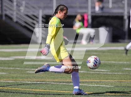Thumbnail 3 in Skyline vs. Timpanogos (UHSAA 5A Semifinal) photogallery.