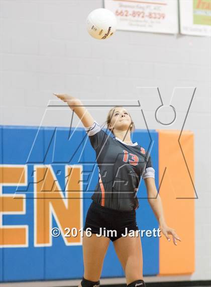 Thumbnail 1 in Senatobia @ Southaven photogallery.