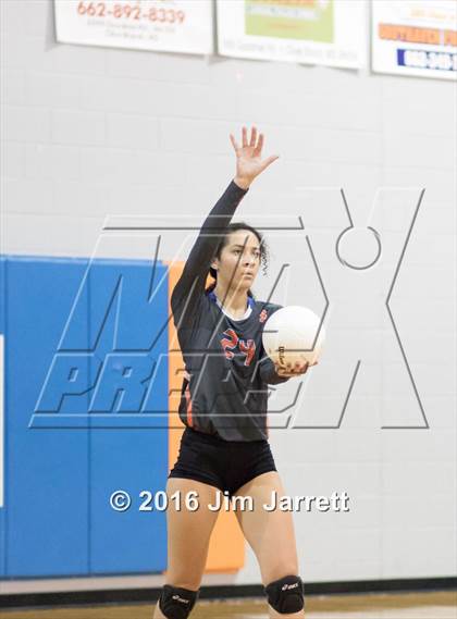 Thumbnail 2 in Senatobia @ Southaven photogallery.