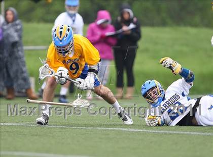 Thumbnail 3 in Irondequoit @ Webster Schroeder photogallery.