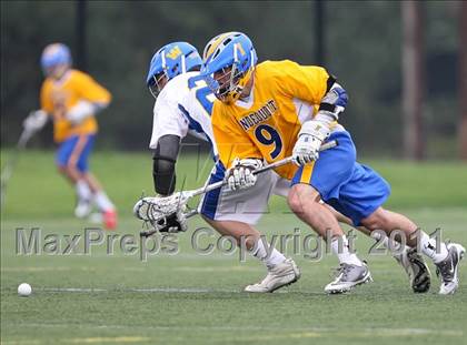 Thumbnail 3 in Irondequoit @ Webster Schroeder photogallery.