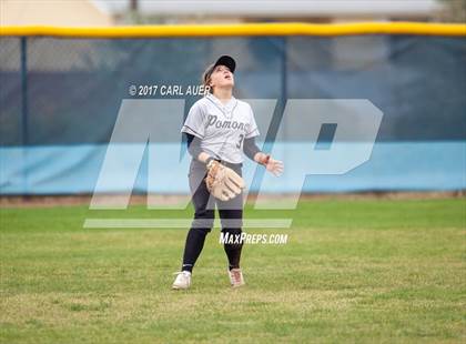Thumbnail 1 in Pomona @ Ralston Valley photogallery.