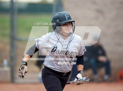 Thumbnail 1 in Pomona @ Ralston Valley photogallery.