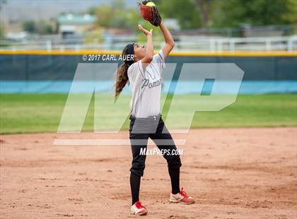 Thumbnail 3 in Pomona @ Ralston Valley photogallery.