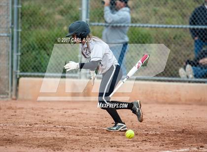 Thumbnail 3 in Pomona @ Ralston Valley photogallery.
