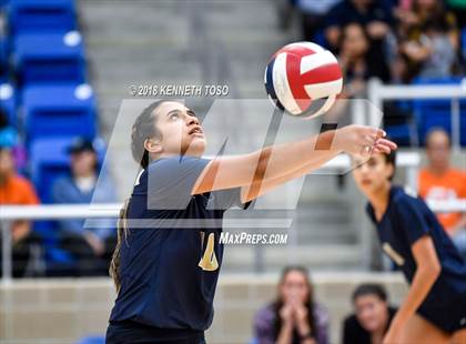 Thumbnail 2 in O'Connor @ Brandeis photogallery.