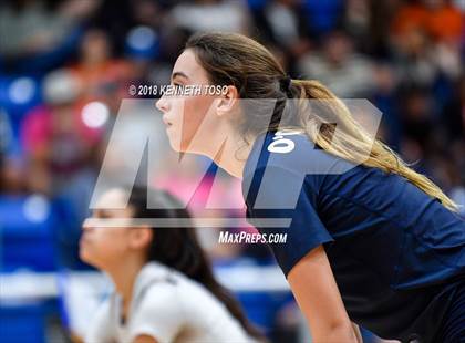 Thumbnail 2 in O'Connor @ Brandeis photogallery.