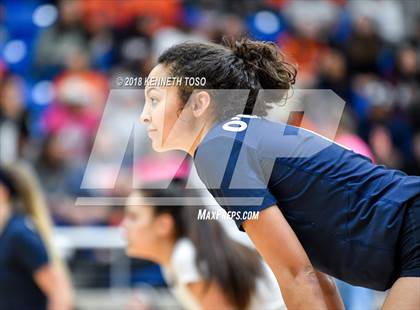 Thumbnail 1 in O'Connor @ Brandeis photogallery.