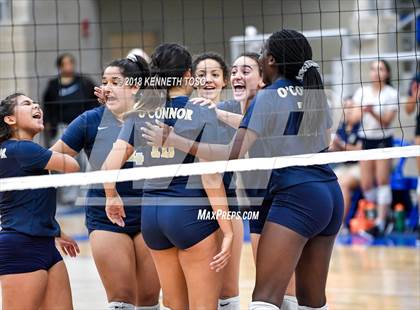 Thumbnail 2 in O'Connor @ Brandeis photogallery.