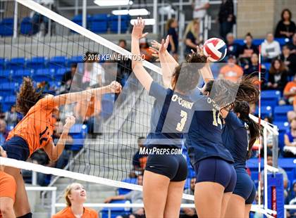 Thumbnail 1 in O'Connor @ Brandeis photogallery.