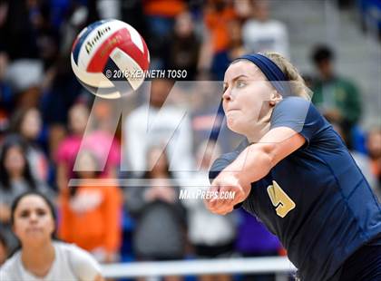 Thumbnail 1 in O'Connor @ Brandeis photogallery.