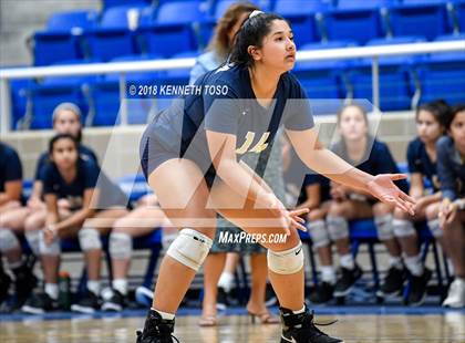 Thumbnail 1 in O'Connor @ Brandeis photogallery.