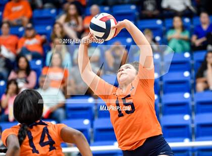 Thumbnail 1 in O'Connor @ Brandeis photogallery.