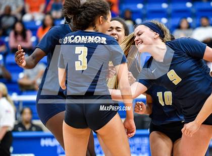 Thumbnail 1 in O'Connor @ Brandeis photogallery.
