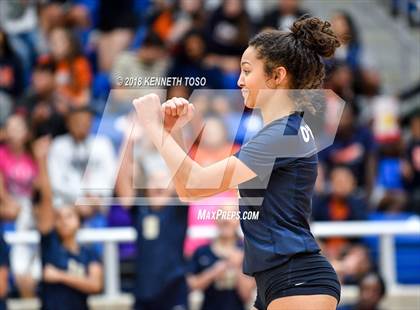 Thumbnail 1 in O'Connor @ Brandeis photogallery.