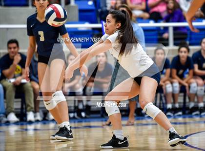Thumbnail 1 in O'Connor @ Brandeis photogallery.