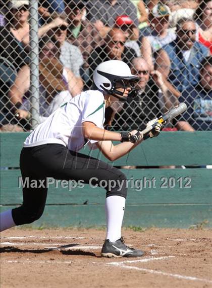 Thumbnail 2 in Concord vs. Petaluma (CIF NCS D2 Final) photogallery.