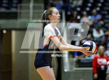 Thumbnail 3 in Cedar Park @ Wakeland (UIL 5A Volleyball Division II Final) photogallery.