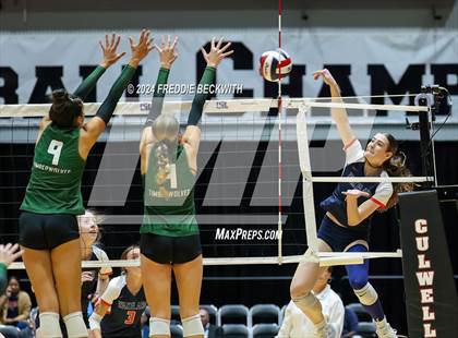 Thumbnail 3 in Cedar Park @ Wakeland (UIL 5A Volleyball Division II Final) photogallery.