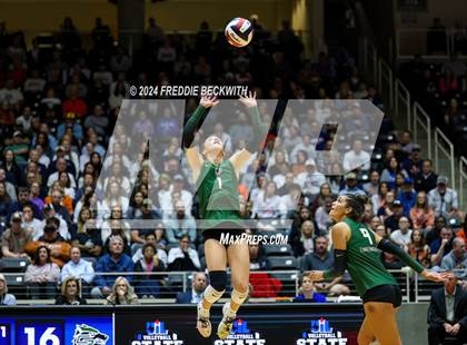 Thumbnail 3 in Cedar Park @ Wakeland (UIL 5A Volleyball Division II Final) photogallery.