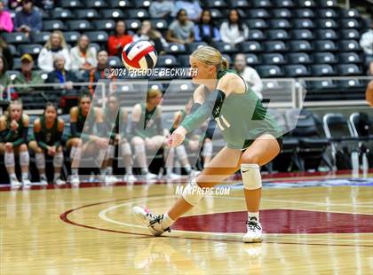 Thumbnail 1 in Cedar Park @ Wakeland (UIL 5A Volleyball Division II Final) photogallery.