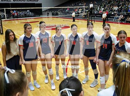 Thumbnail 1 in Cedar Park @ Wakeland (UIL 5A Volleyball Division II Final) photogallery.