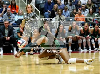 Thumbnail 3 in Cedar Park @ Wakeland (UIL 5A Volleyball Division II Final) photogallery.