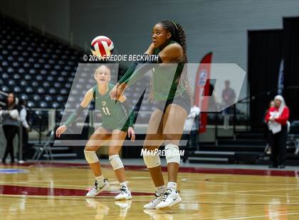 Thumbnail 2 in Cedar Park @ Wakeland (UIL 5A Volleyball Division II Final) photogallery.
