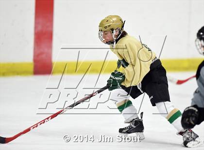 Thumbnail 1 in Xavier vs. Notre Dame-West Haven (Carrano Cup Consolation) photogallery.