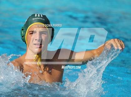 Thumbnail 1 in Upland @ Damien photogallery.