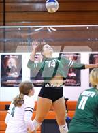 Photo from the gallery "Grosse Pointe North @ Utica"