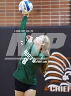 Photo from the gallery "Grosse Pointe North @ Utica"