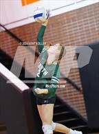 Photo from the gallery "Grosse Pointe North @ Utica"