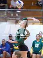 Photo from the gallery "Grosse Pointe North @ Utica"