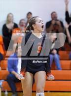 Photo from the gallery "Grosse Pointe North @ Utica"