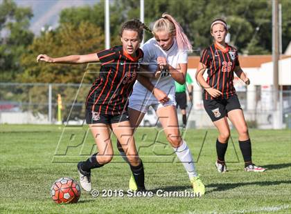 Thumbnail 3 in JV: Murray @ Hillcrest photogallery.