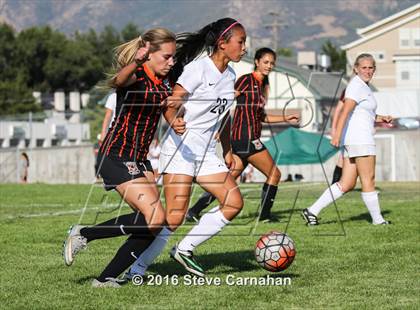 Thumbnail 3 in JV: Murray @ Hillcrest photogallery.