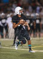 Photo from the gallery "Antelope @ Sheldon"